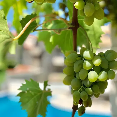 Apartment Dalmatien Traumhaus Makarska